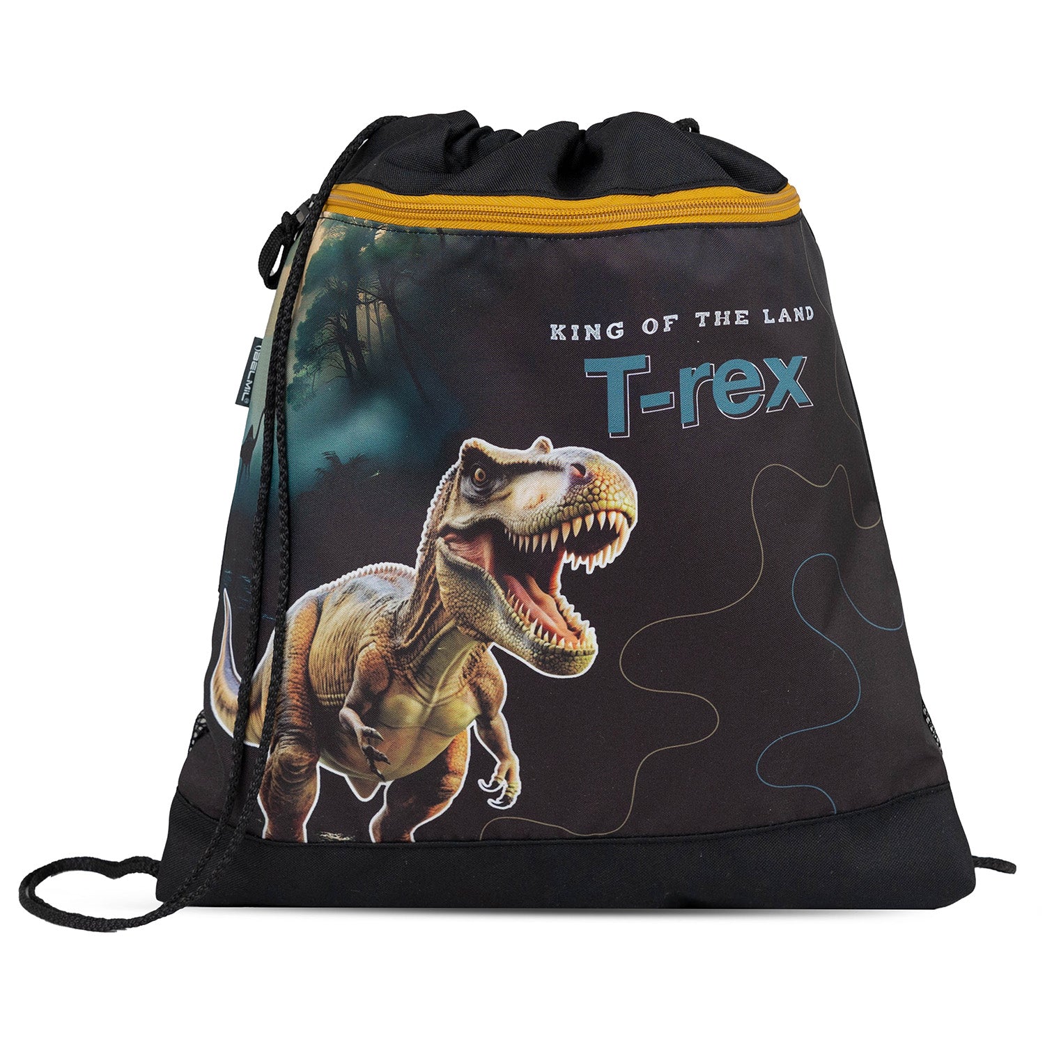 Artistic shot of the Belmil Classy Ergonomic School Bag Set for Boys “Roar Storm” Design + Dinosaur Raincoat – 5-Piece Back-to-School Bundle highlighting the unique dinosaur design and bright colors.