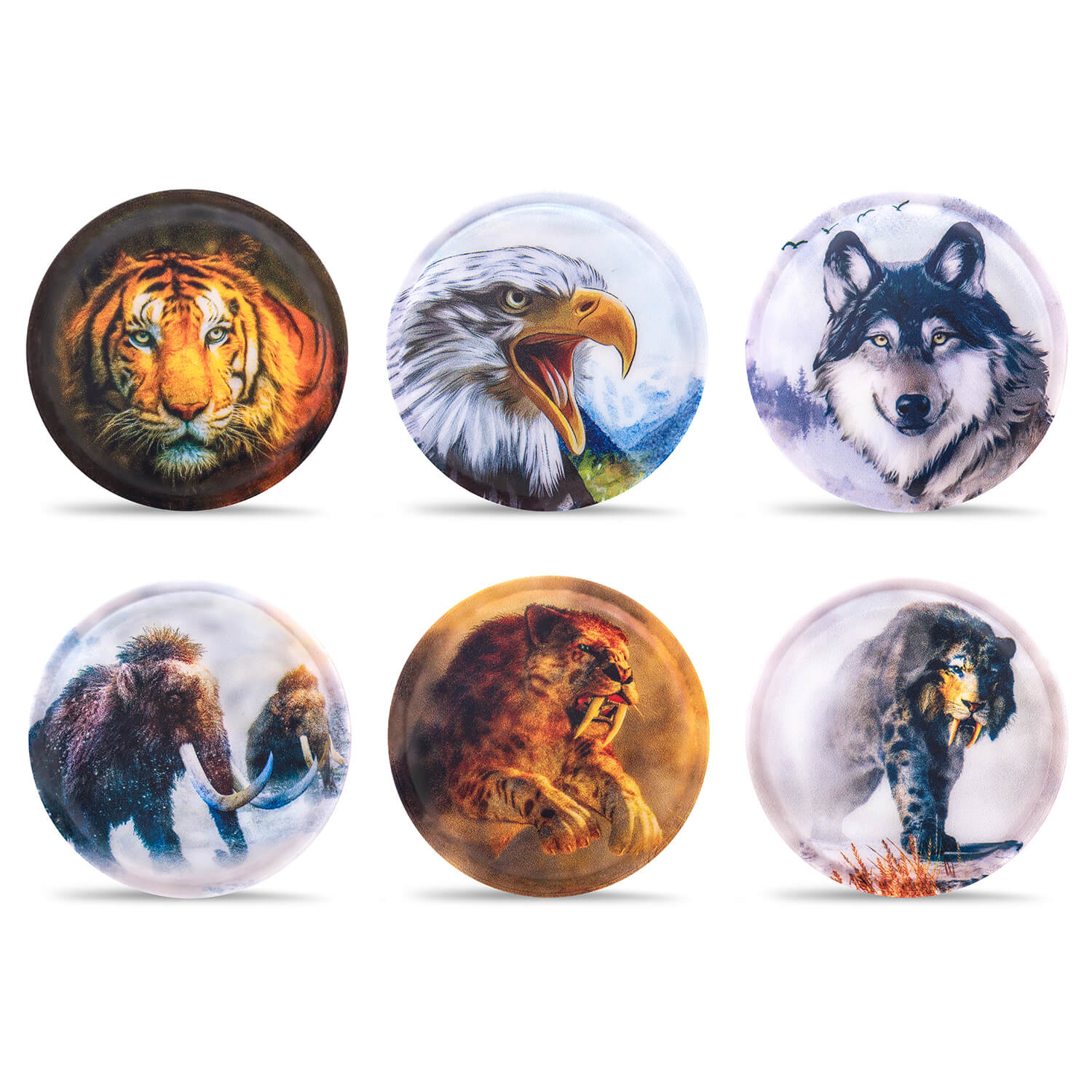 Belmil Patch Set – 6-Piece Velcro Patches "Primal Force"