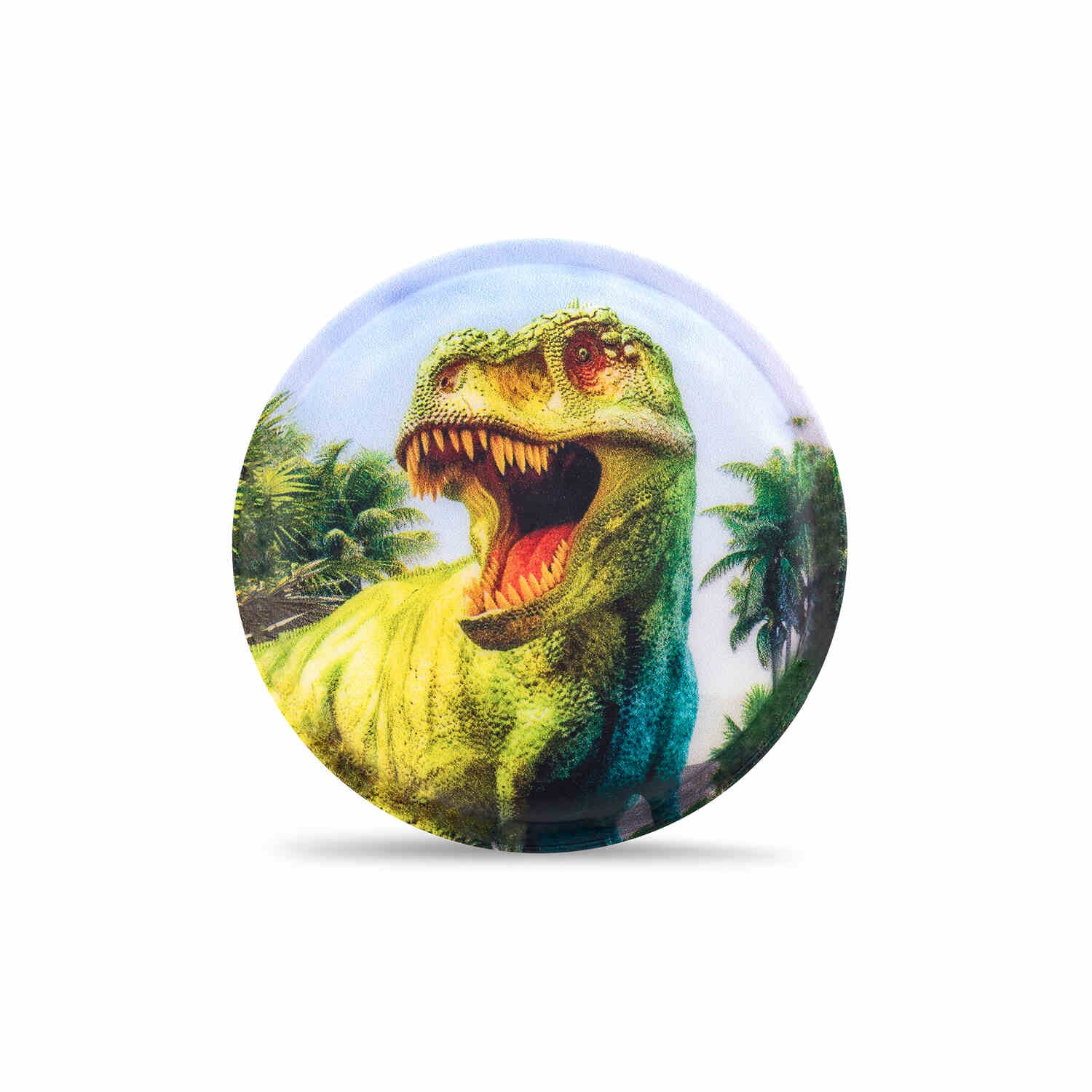 Patch Set Dinosaurs