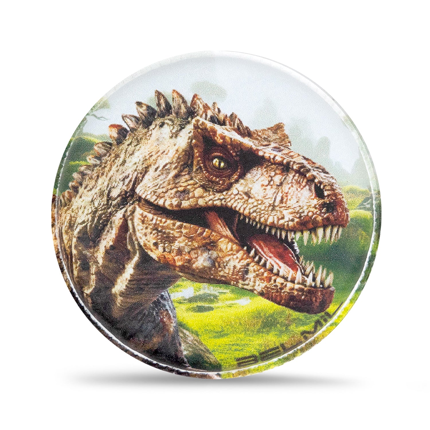 Belmil Patch Set – 6-Piece Velcro Patches "Roaring Dinos"